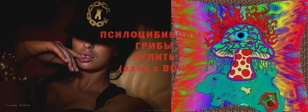 марки nbome Аркадак