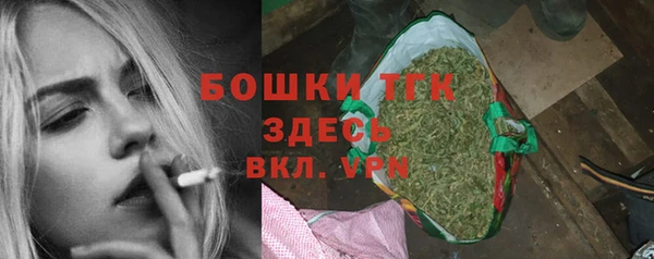 молекула духа Арсеньев