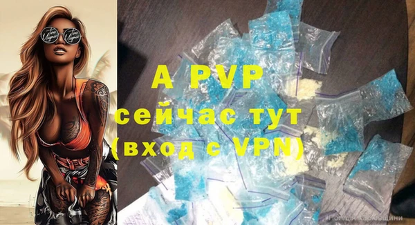 молекула духа Арсеньев