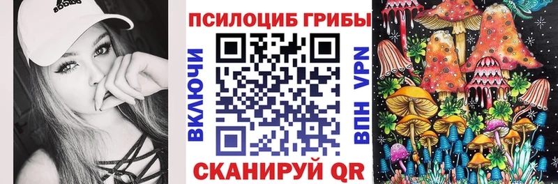 блэк спрут ссылки  Арсеньев  Псилоцибиновые грибы Psilocybine cubensis  где купить  